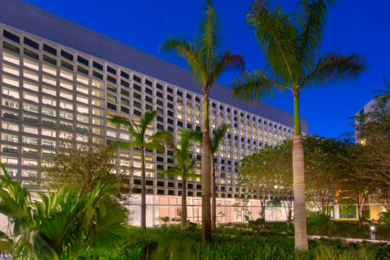 Palm trees in front of a large building with rows of windows